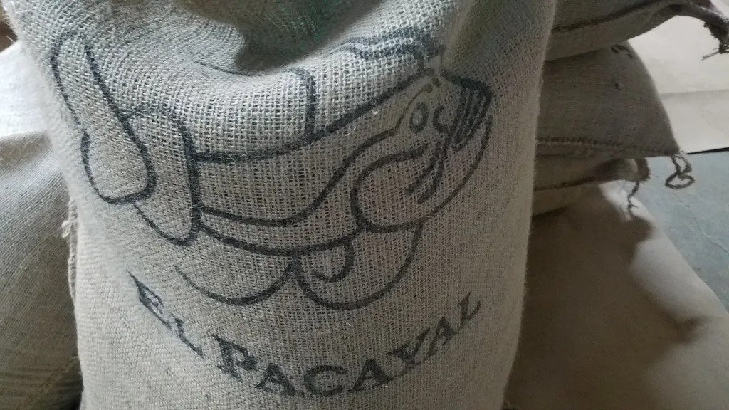 Single Origin Coffee! Your Biggest Questions Answered Pt. 1